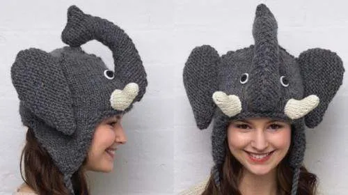 Animal Hats