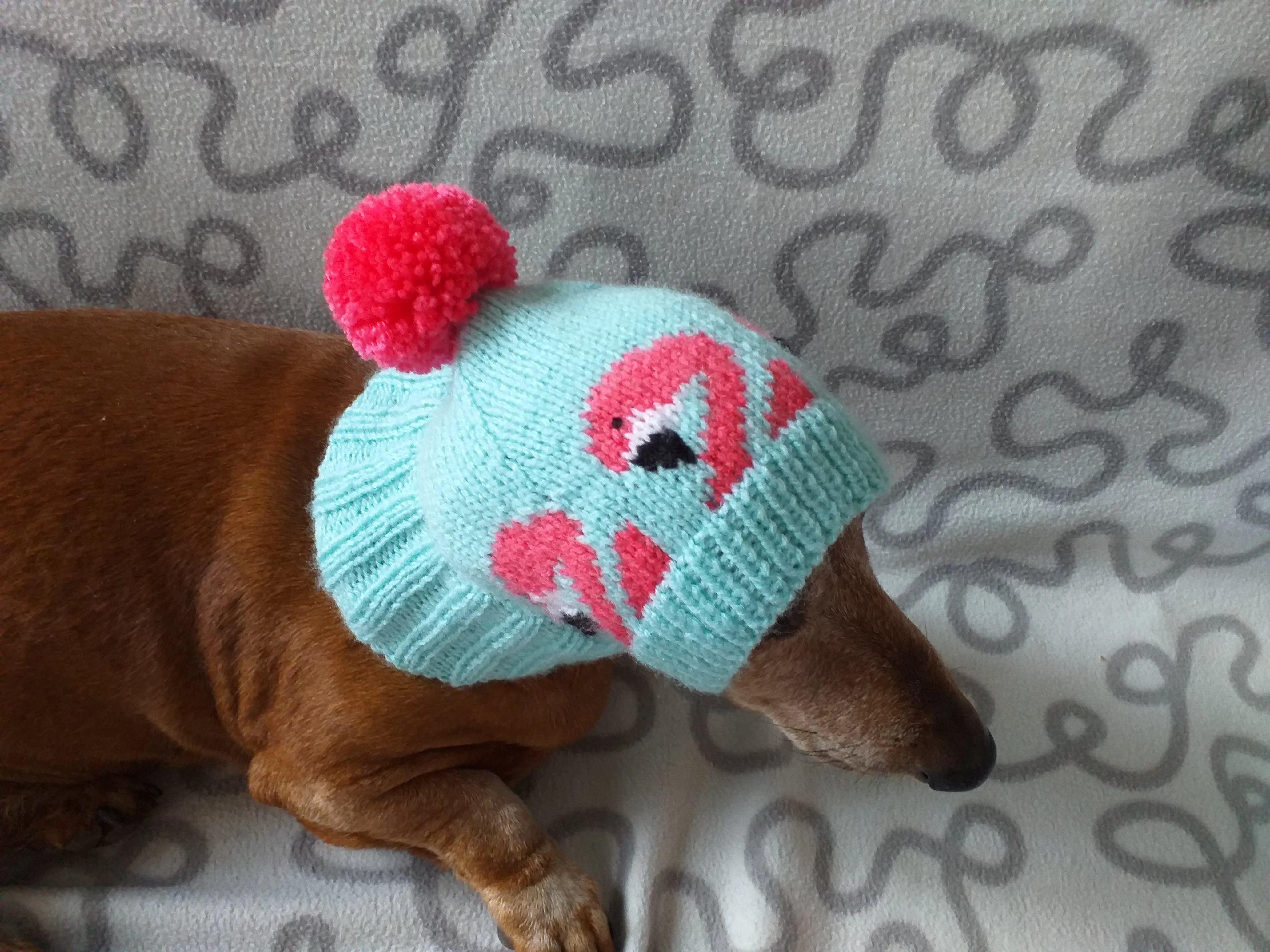 Flamingo knitted hat for dogs, dog clothes with flamingos