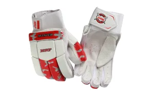 MRF Master Batting Gloves