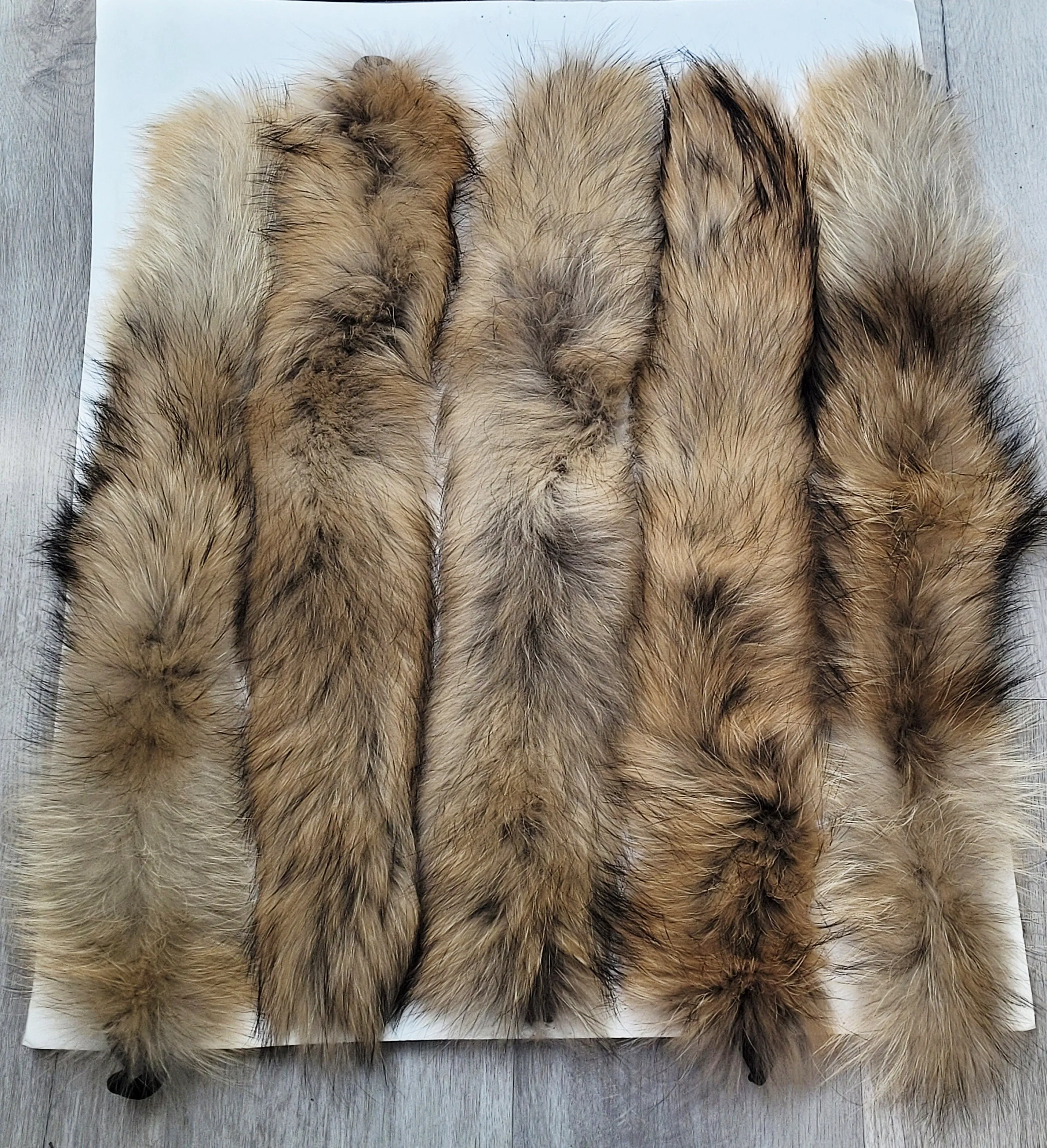 READY to SHIP 60x2 cm Real Raccoon Fur Collar, Fur Trim for Hoodies, Raccoon Fur Collar, Fur Scarf, Fur Ruff, Raccoon Fur Hood, Raccoon Fur