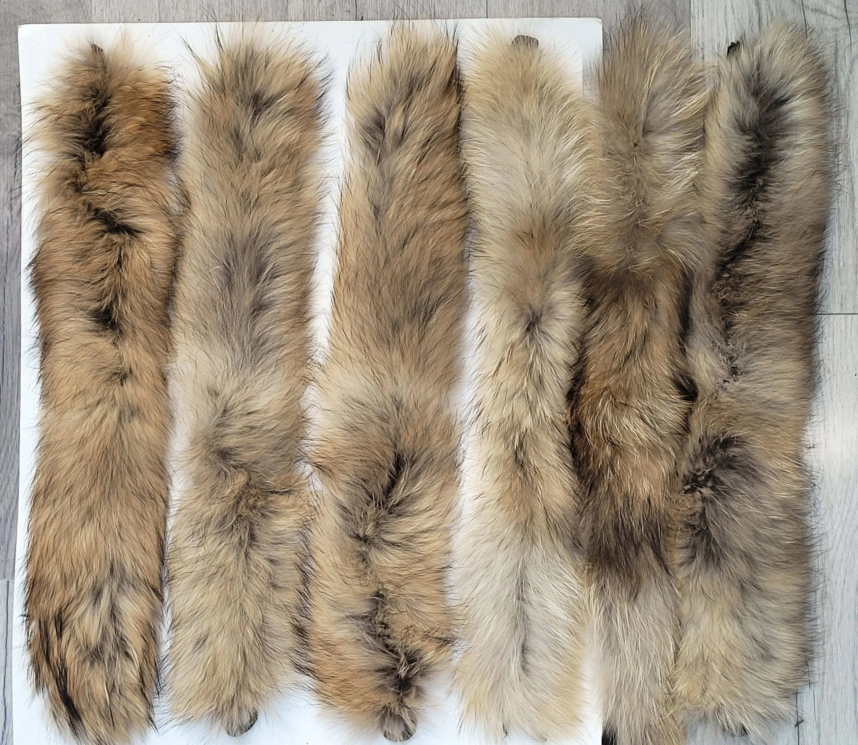 READY to SHIP 60x2 cm Real Raccoon Fur Collar, Fur Trim for Hoodies, Raccoon Fur Collar, Fur Scarf, Fur Ruff, Raccoon Fur Hood, Raccoon Fur