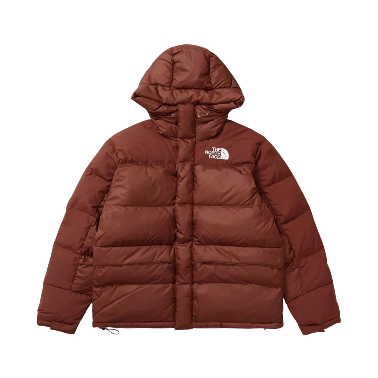 The North Face M Hmlyn Down Parka (Dark Oak)