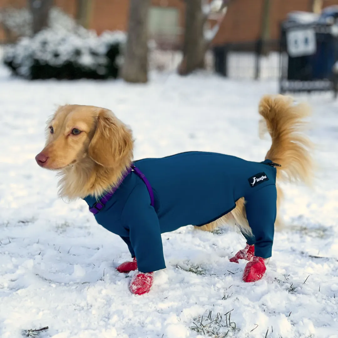 The Weensie Bodysuit